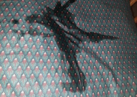 wetnbadmommy sexy star archive