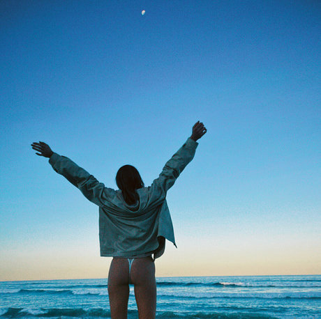 seasharkcensored sexy pornstar photo