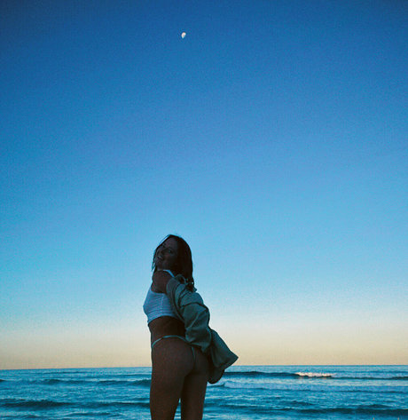 seasharkcensored star perfect photo