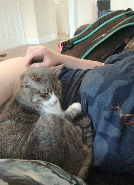 scarletexotic model hd gallery