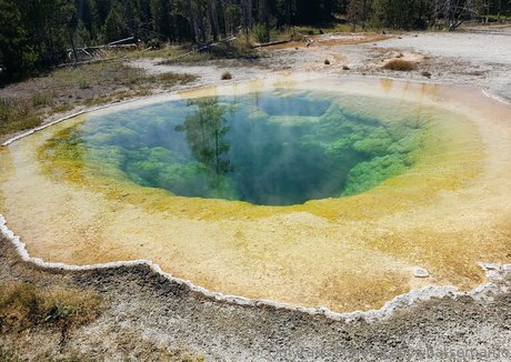 mccoywhatsername perfect model img