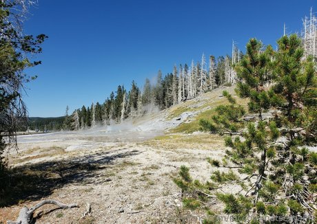 mccoywhatsername pornstar nude pictures