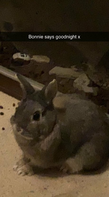 sweet little hunni sex pornstar photos