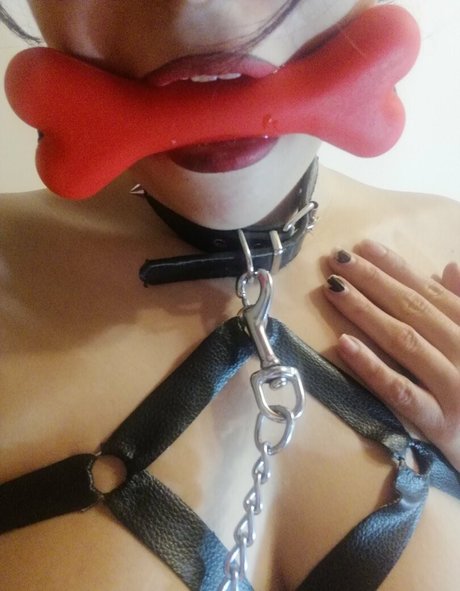 inugamirose pornstar naked pictures