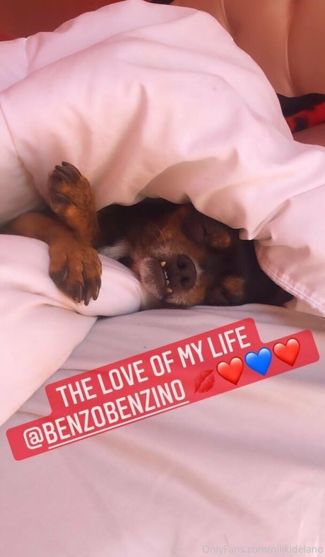 nikkidelano erotic star image