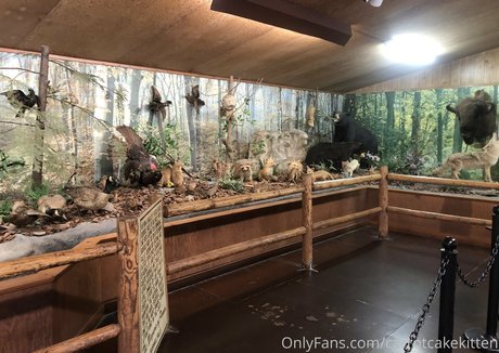 Carrotcakekitten best pornstar photo