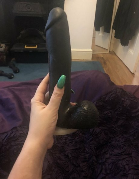 Persiana model top pics