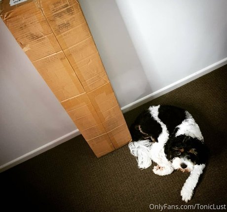 amateur dp onlyfans art nude galleries