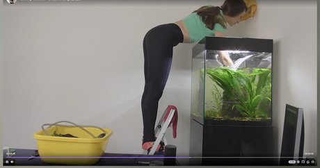 misaonair model adult img