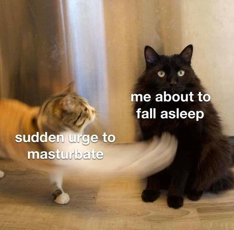 Marlii26 model adult photo