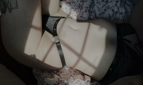 Locallbimbo star sexy archive