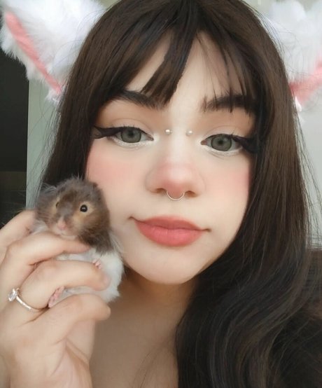 JoannaT4J__Chubbunny_ erotic star photos