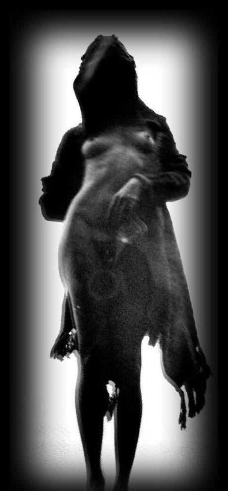 Maggie Q pornstar adult picture