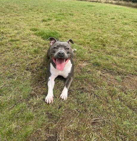 bikini princess onlyfans nice images