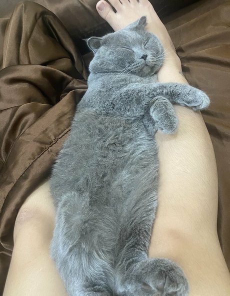 Suniebae nudes actress galleries