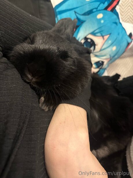 asian pussy onlyfans porno archive