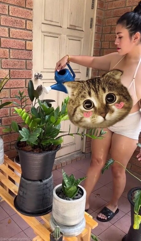 curvy shemale onlyfans porno picture