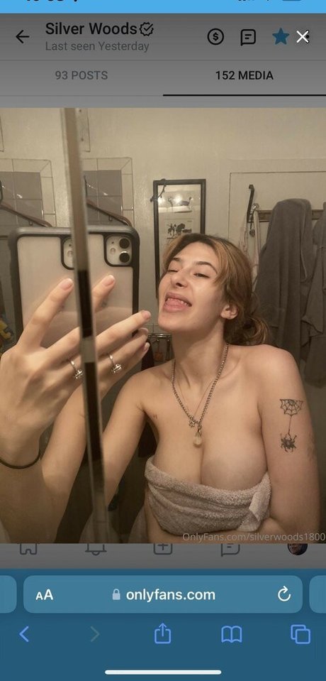 silverwoods1800 pretty star img