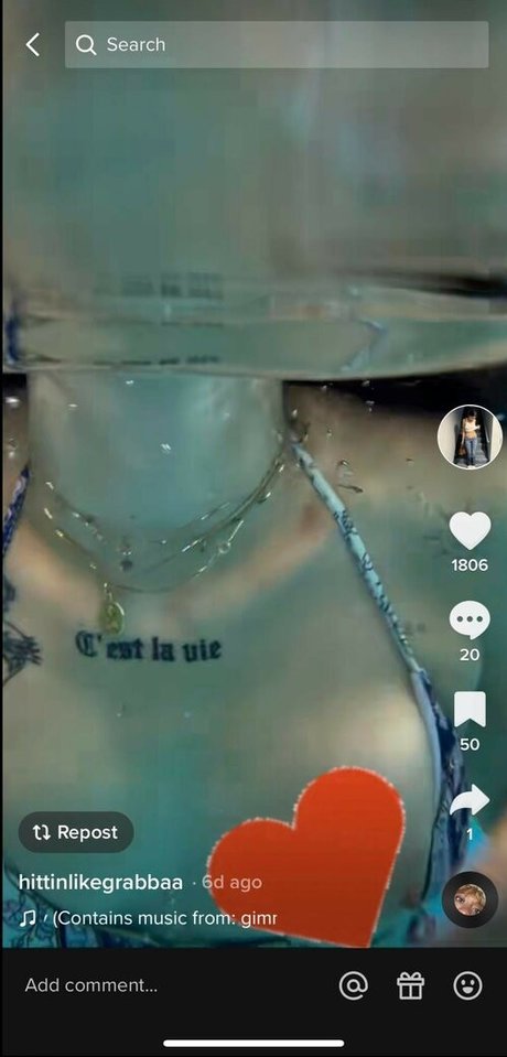 silverwoods1800 art model picture