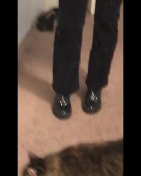 Sofia Addotta free actress images