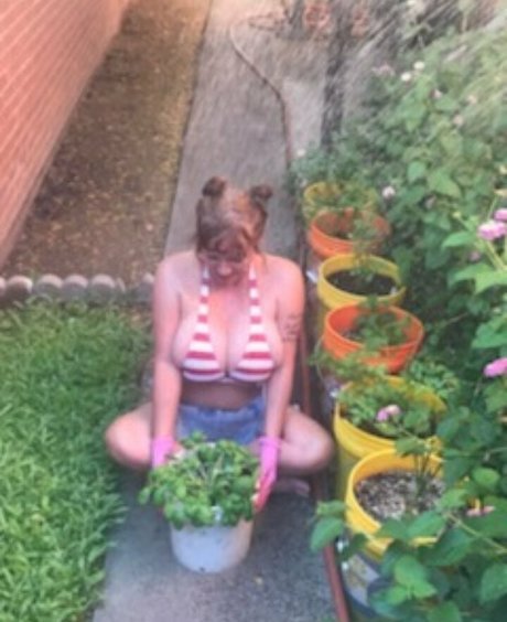 Julie K Smith hd star pics