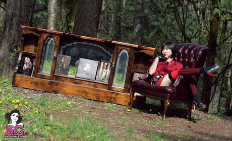 ArsenicLulu star top pictures