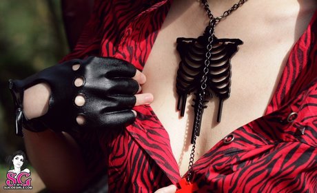 ArsenicLulu top star galleries