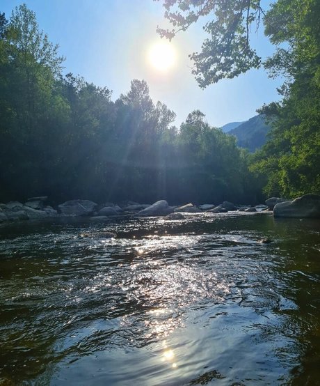 Ann Cygnus model nice gallery