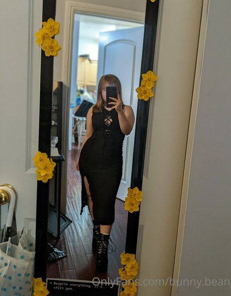 Unused Notebook free model pic