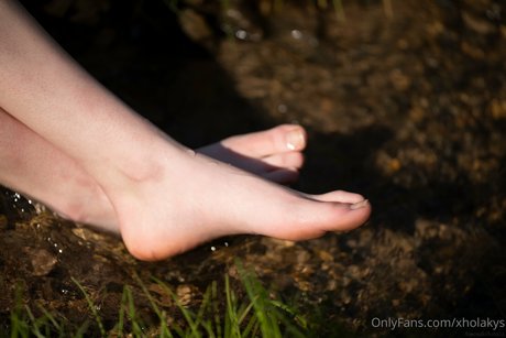 xholakys art star galleries