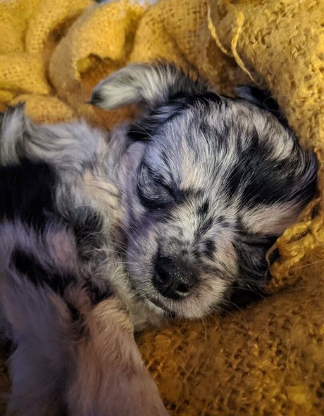 anime onlyfans pretty pictures