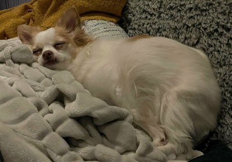 extreme onlyfans hd img