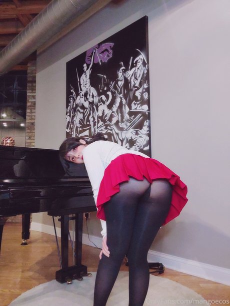 Mangoecos star art photos