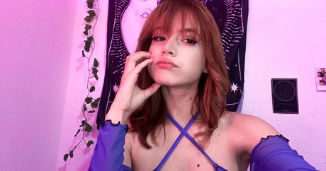 Veevtr model top picture