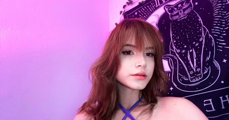 Veevtr perfect star galleries