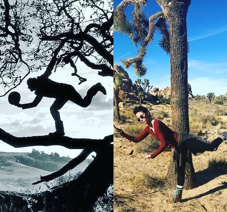 Allison Scagliotti star perfect img