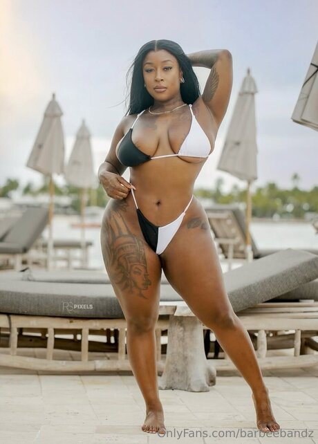 barbeebandz art star picture