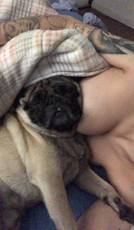 Trizpac hot star img