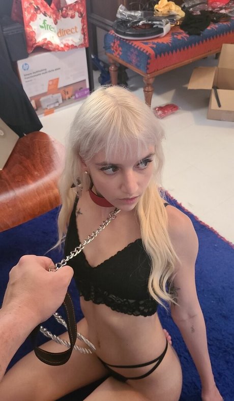 catsandkittens456 hd pornstar pictures