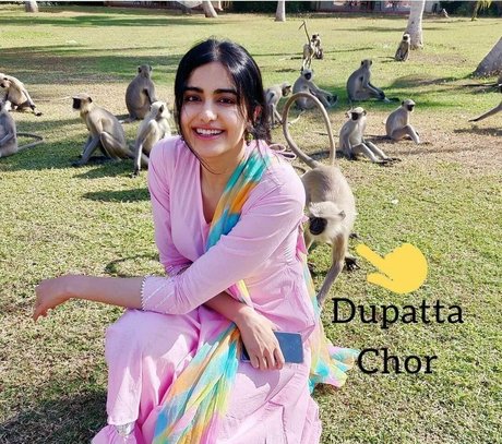 Adah Sharma star nude pictures