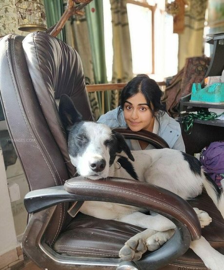 Adah Sharma art star galleries