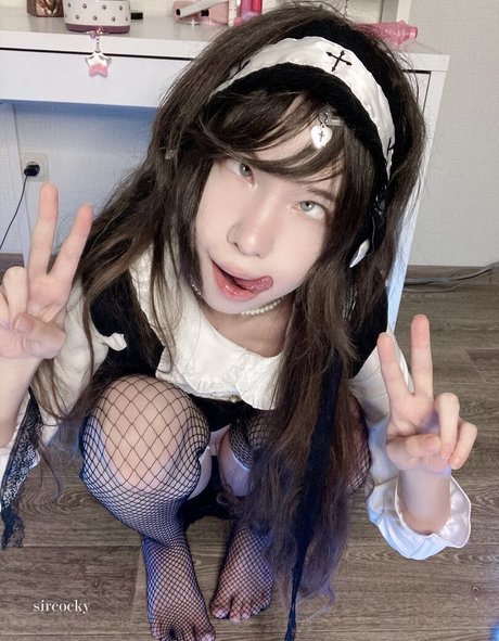 Sir Cocky star best image