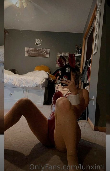 Lunximi high quality model picture