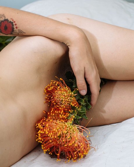 Carly Foulkes xxx star image