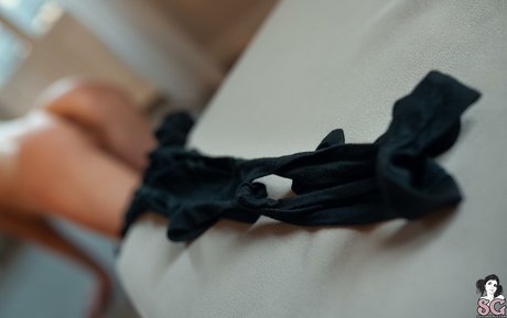 LVMAMY top star image