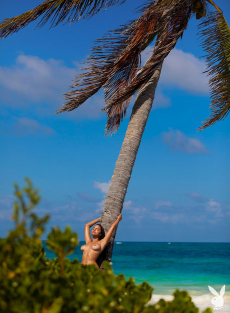 Priscilla Huggins Ortiz erotic star pic