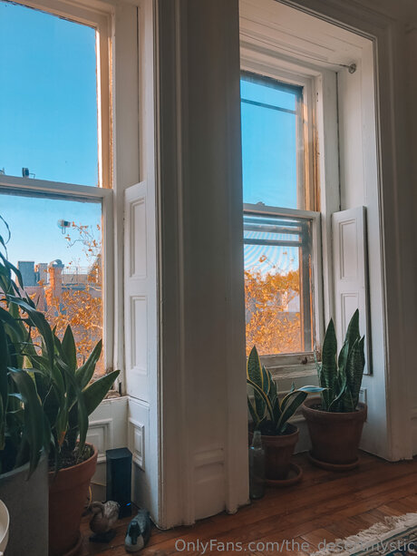 mirror onlyfans exclusive photos