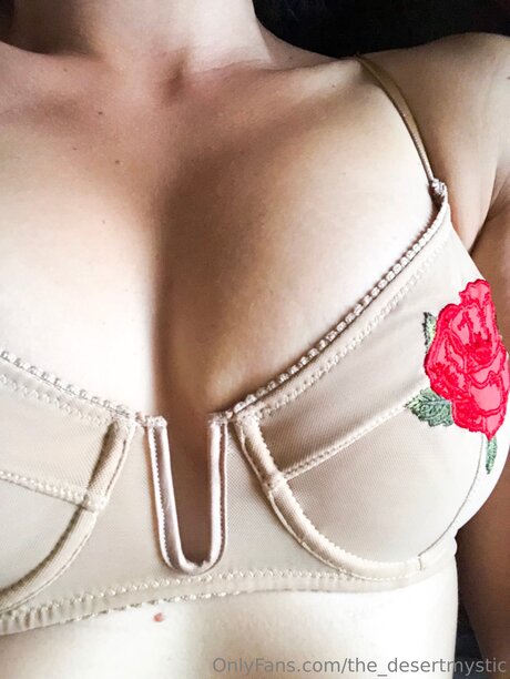 the desertmystic art model picture