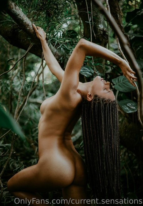 Currentsensation model art gallery