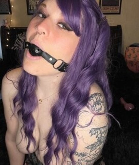 QuinNight top star galleries